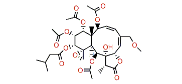 Gemmacolide AC